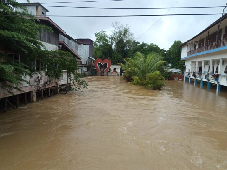 Banjir Melanda Kecamatan Tayan Hulu: Desa Sosok Terendam