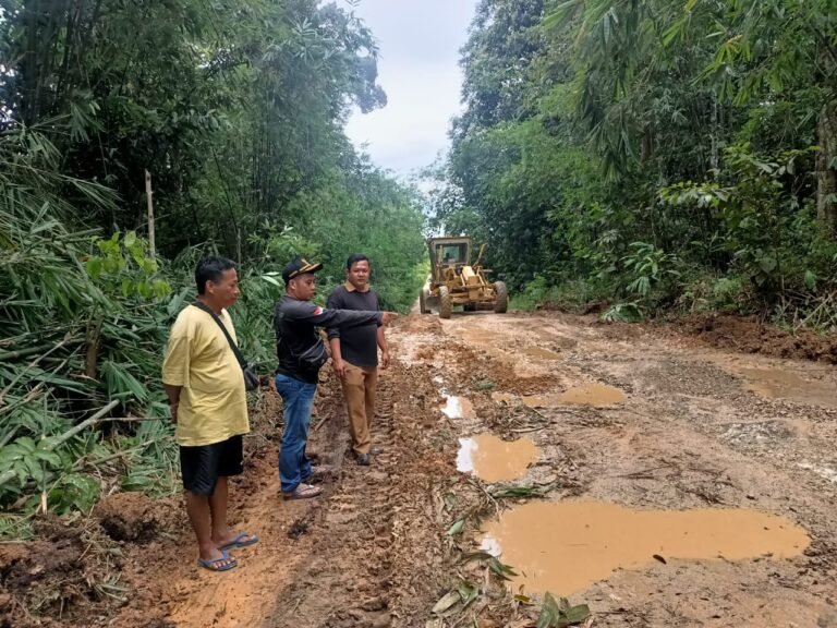 Kepala Desa Pandu Raya, Adrianus Dedi, S.Kom, Tinjau Langsung Ruas Jalan Sei. Mawang – Dusun Empaong