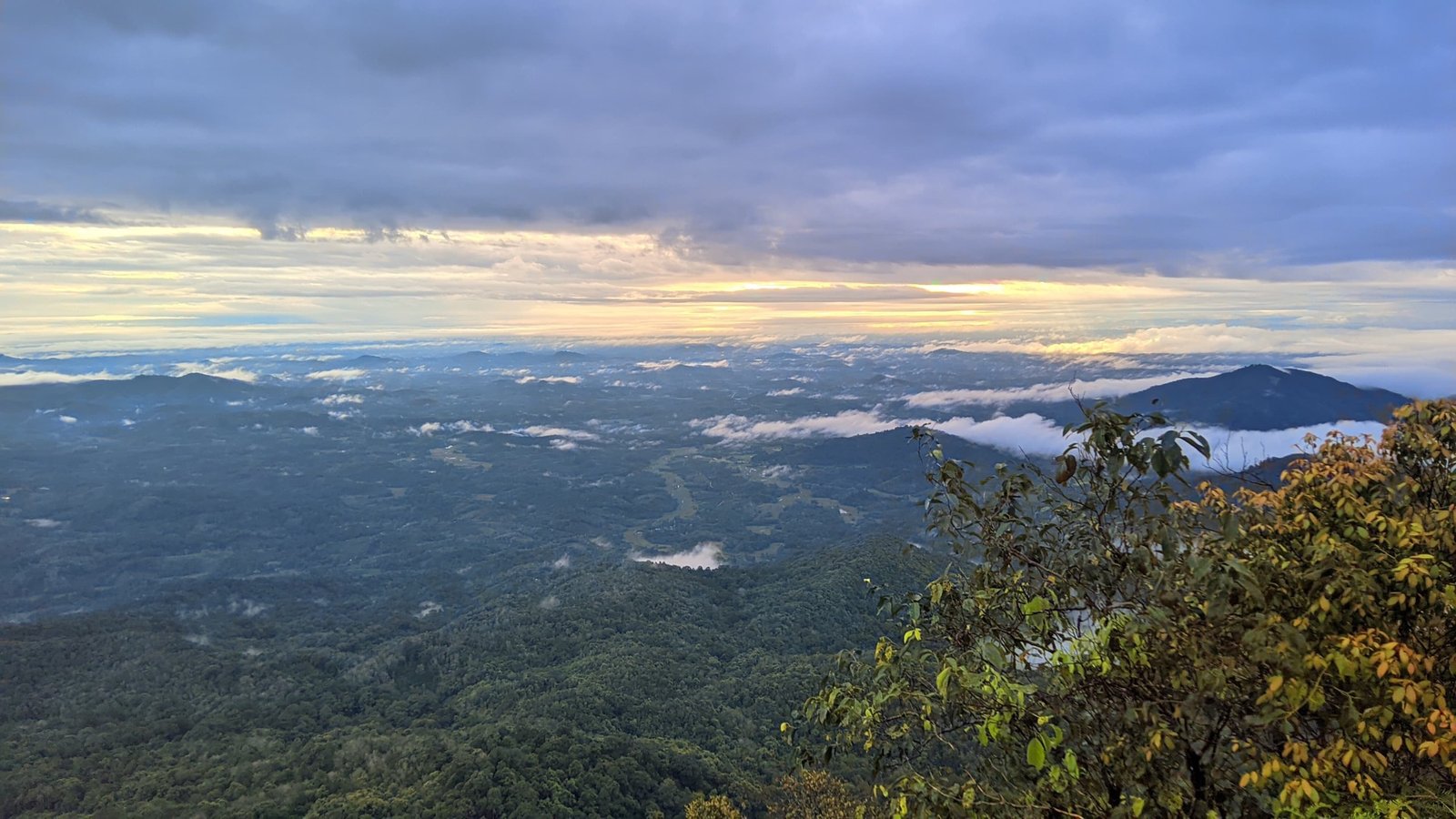 img-20250302-wa0049-1