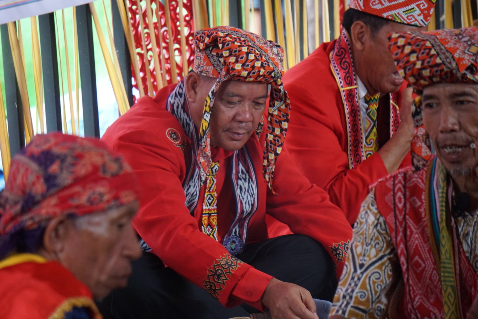 Paolus Hadi Sumbang 15 Ekor Babi untuk setiap Kontingen Kecamatan, di event Gawai Nosu Minu Podi XXI
