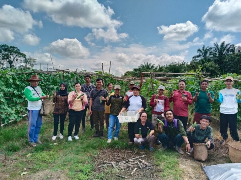 Kelompok Tani Melati Apresiasi Kunjungan Kabid Hortikultura Sanggau dan Mahasiswa Untan